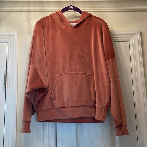 American Eagle Velour Hoodie - Picture 2 of 5